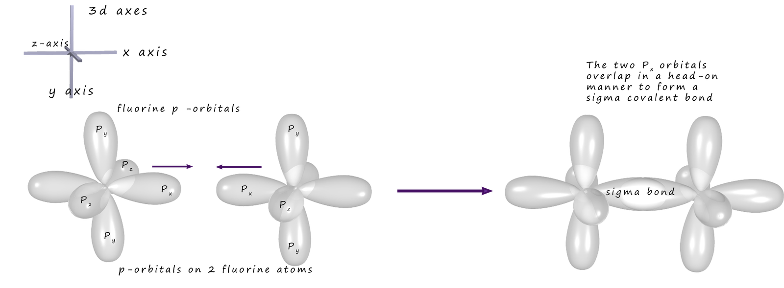 Diagram showing the head on overlap of p-orbitals in two fluorine atoms to form a sigma covalent bond.